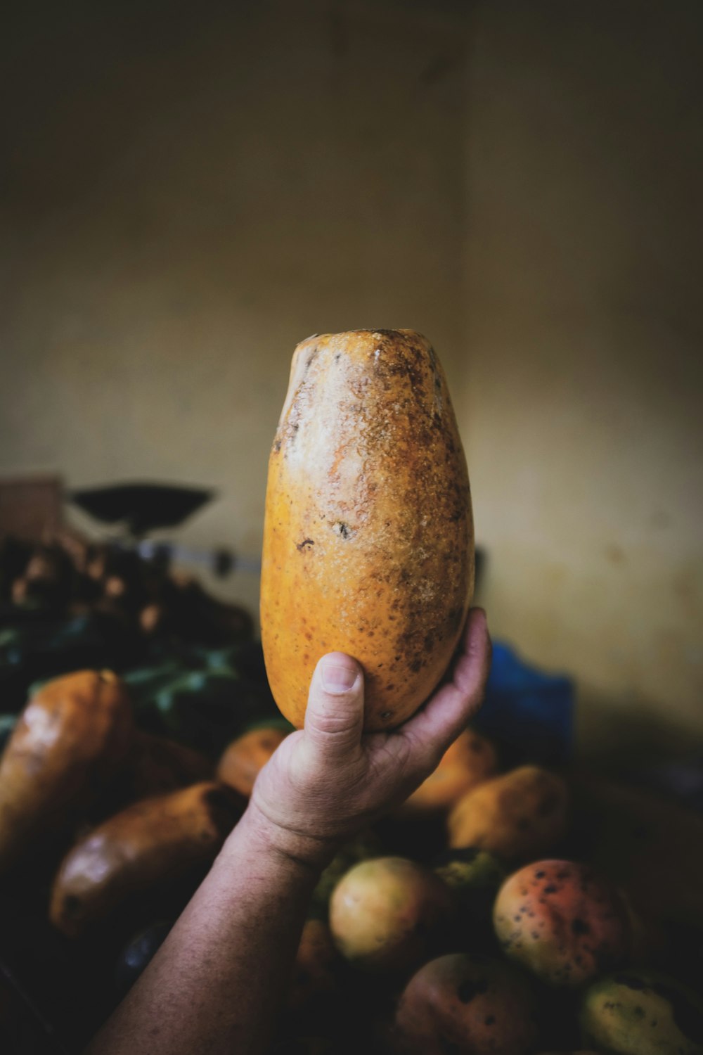 person holding brown fruit