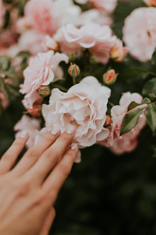 Close-up of a hand receiving a moisturizing treatment surrounded by jasmine blossoms.