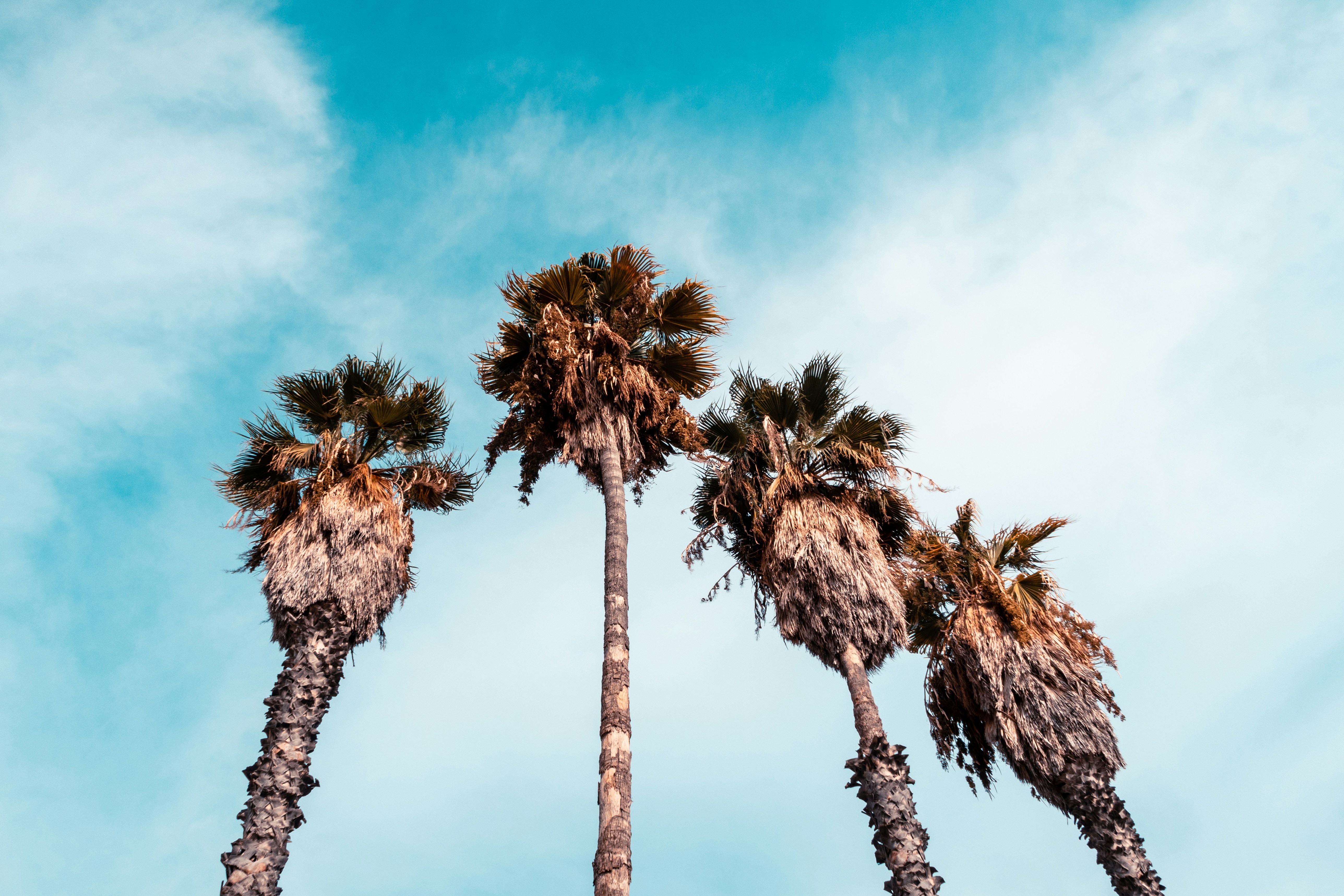 Photo by micheletardivo