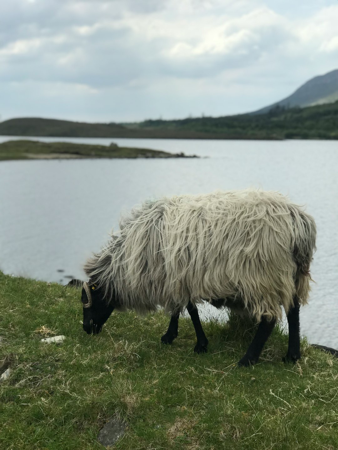 Hill photo spot R344 Connemara National Park