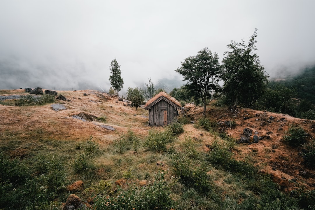 Hill station photo spot Oldevatnet Supphellebreen