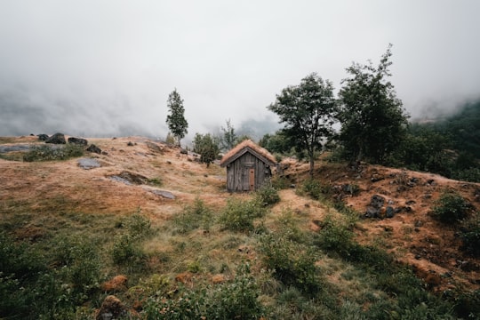 brown wooden house on green and brown field in Oldevatnet Norway