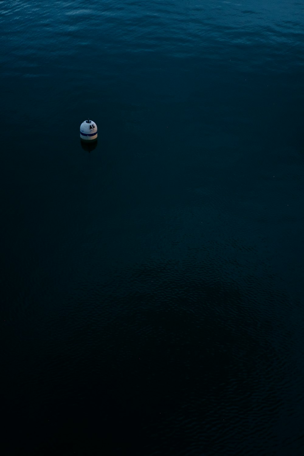 white toy floating on body of water