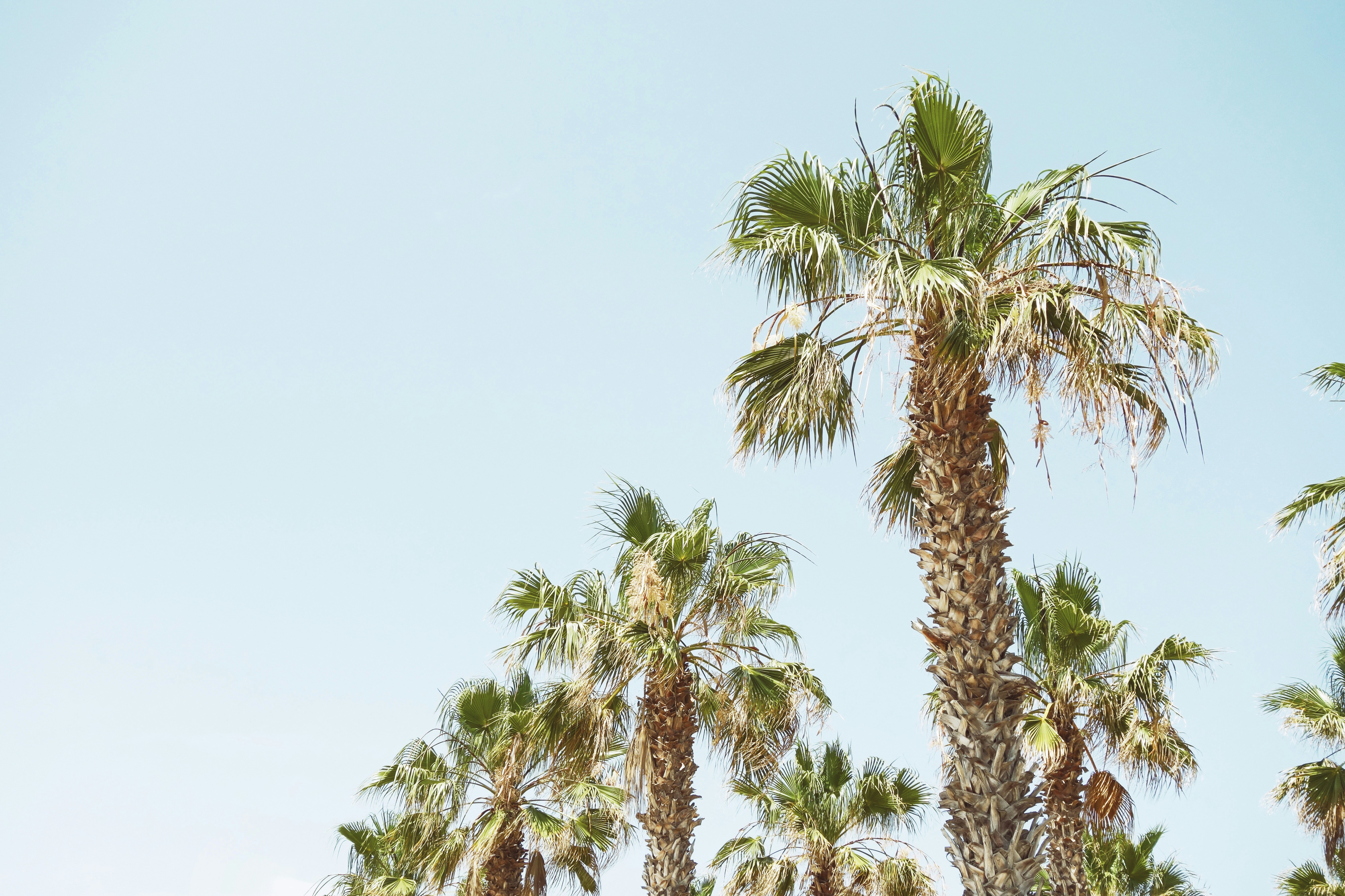 Photo by travelnow_or_crylater