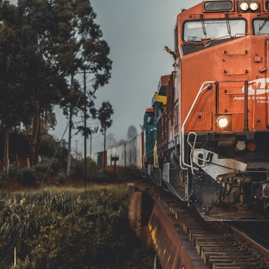 train during golden hour