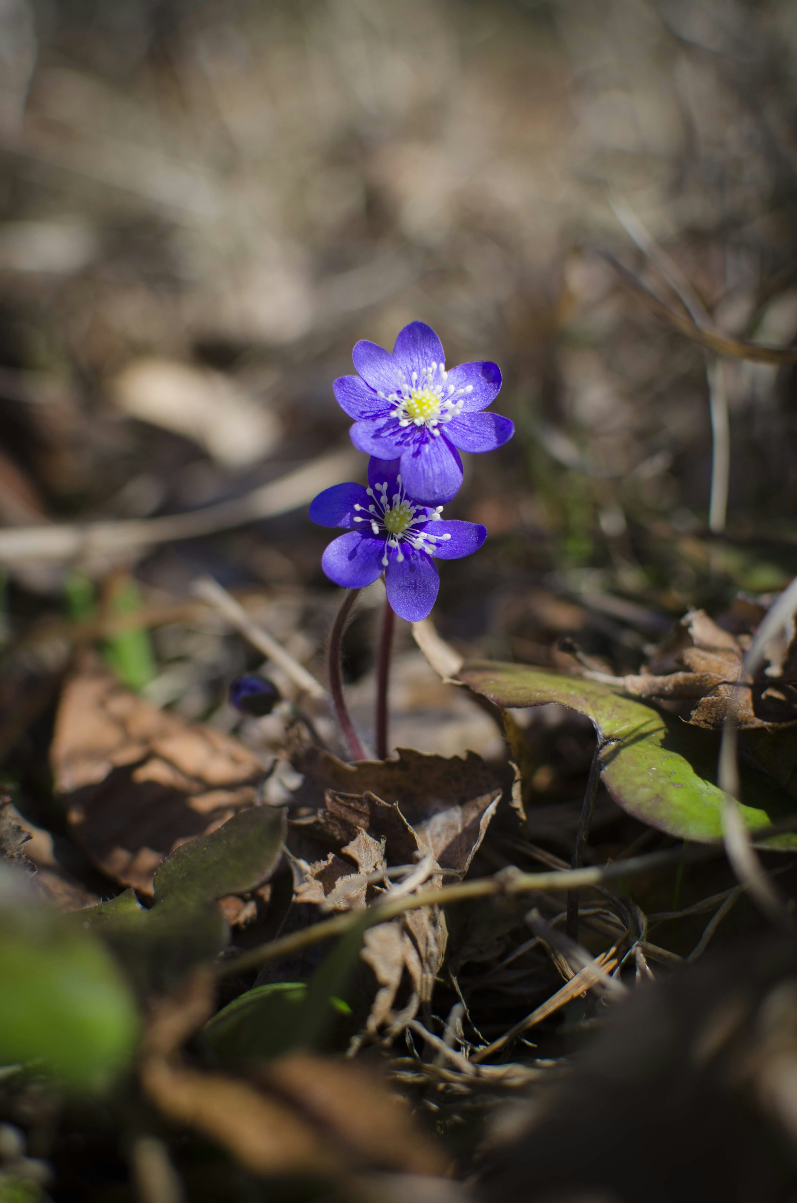 労う の意味と使い方 読み方 類語 例文 敬語 目上の人 Work Success