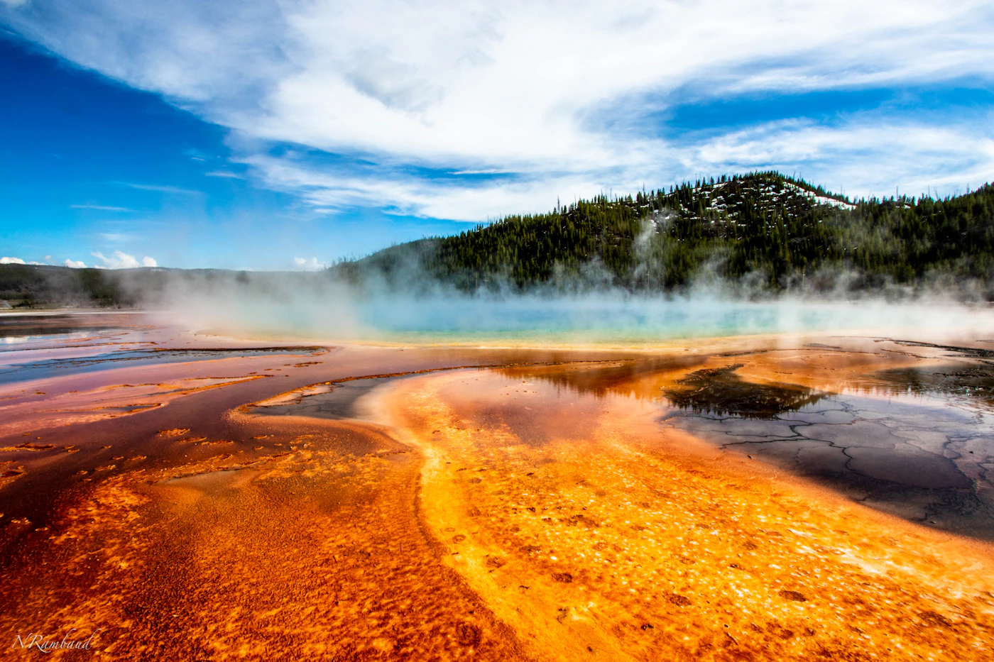Steaming geothermal basin with mineral-stained pools in Yellowstone National Park