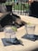 Two clear glasses filled with ice and garnished with lime wedges sit on dark napkins. They are placed on a stone surface near a fire pit with charred logs. In the background, there are patio chairs and a grassy area.