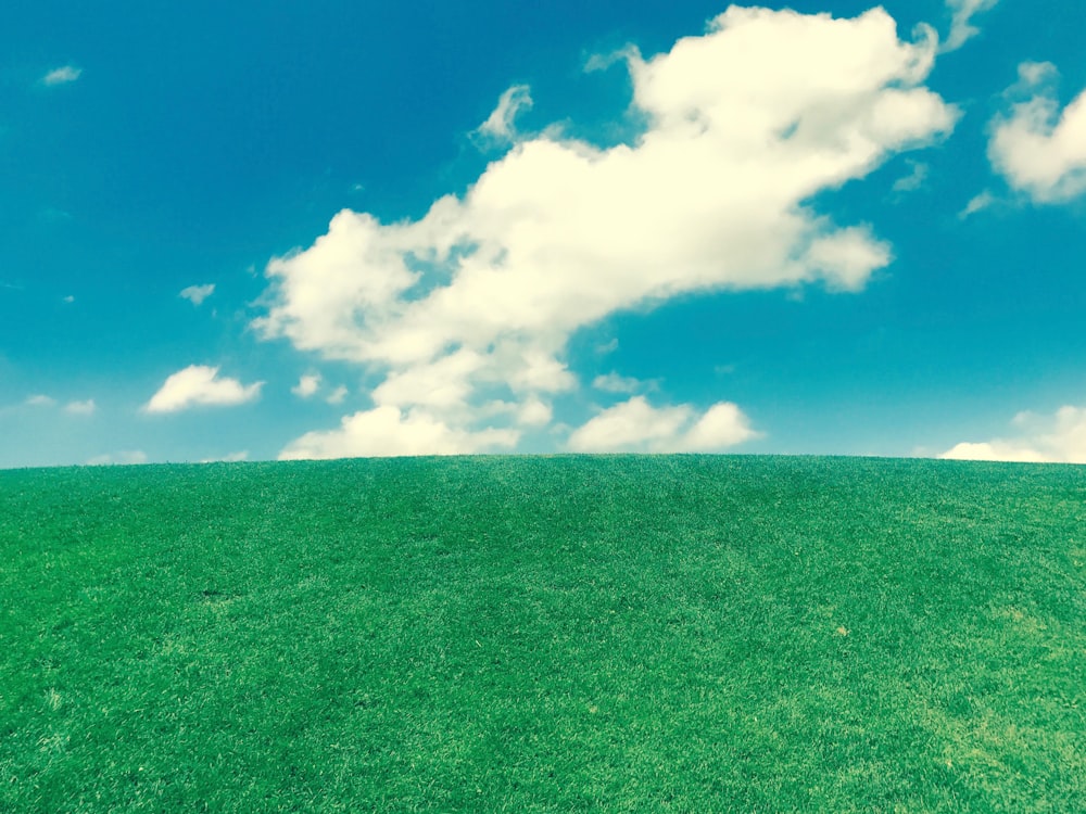 green grass under white clouds