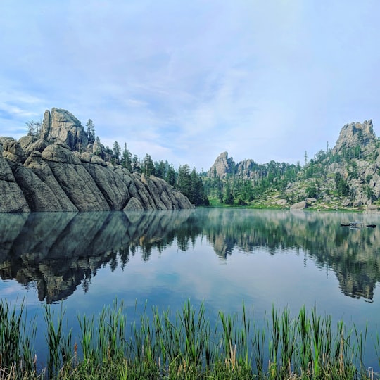 Custer State Park things to do in Rapid City