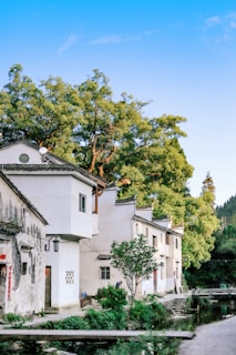 A serene village scene with traditional white buildings, characterized by their simple architecture and gabled roofs. Lush green trees surround the area, creating a peaceful ambiance. A narrow waterway runs alongside a path, which is bordered by vibrant greenery.