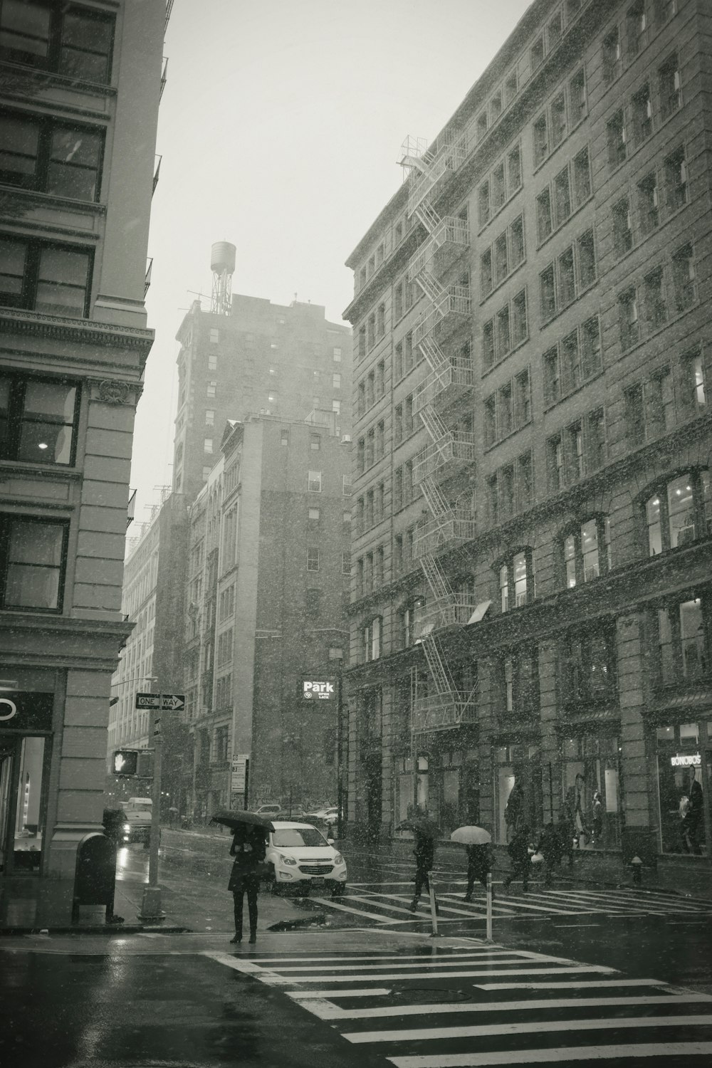 people walking on pedestrian lane under rain