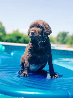 piscina pequeña fuerteventura