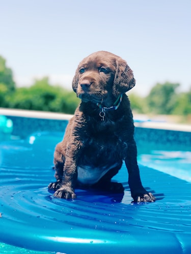 piscina pequeña fuerteventura