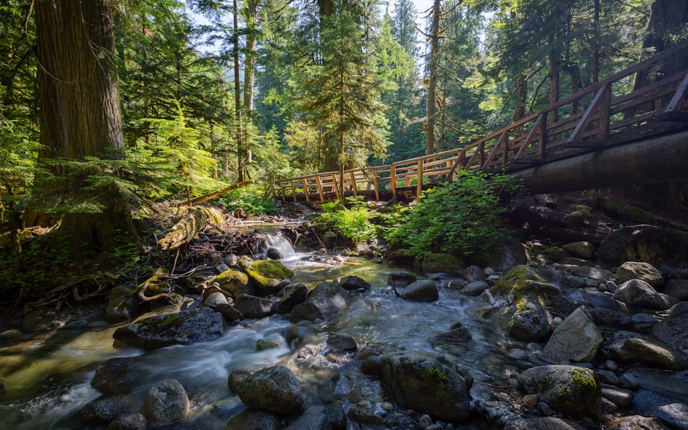 braune Holzbrücke über den Fluss, umgeben von Bäumen