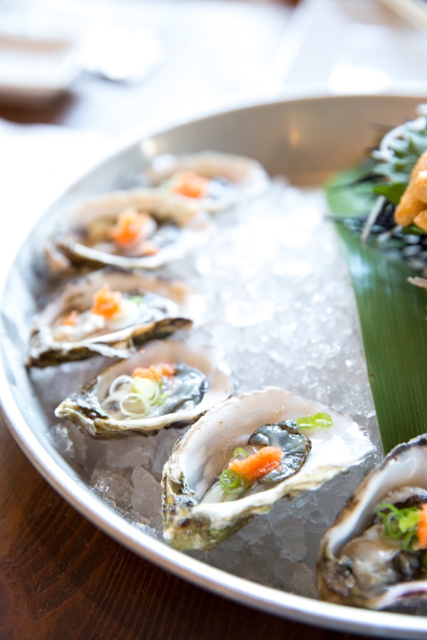 Oyster on ice