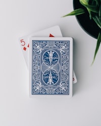 Magiske Fortællinger fra Casinoverdenen: En Guide til Blackjack, Roulette og Kortspil
