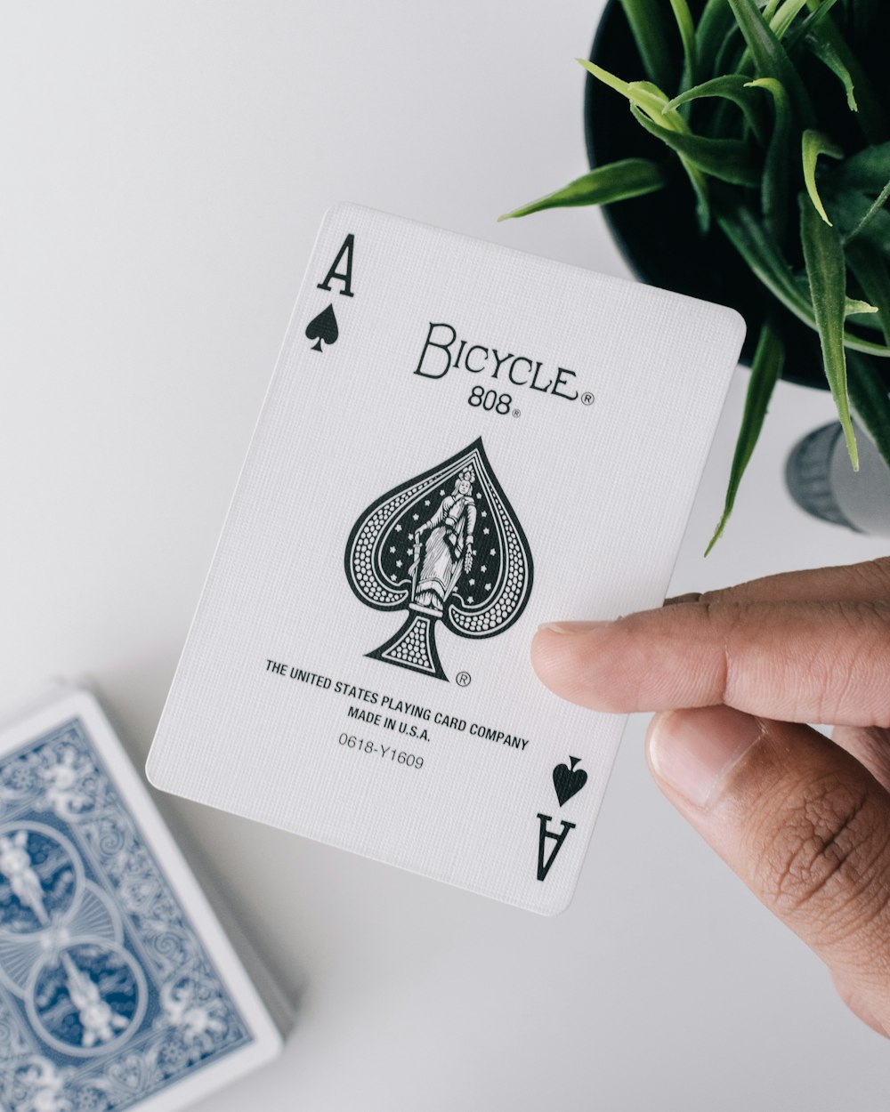 person holding Ace of Spade playing card