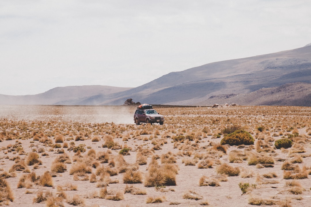 Desert photo spot Eduardo Avaroa National Reserve of Andean Fauna Laguna Colorada