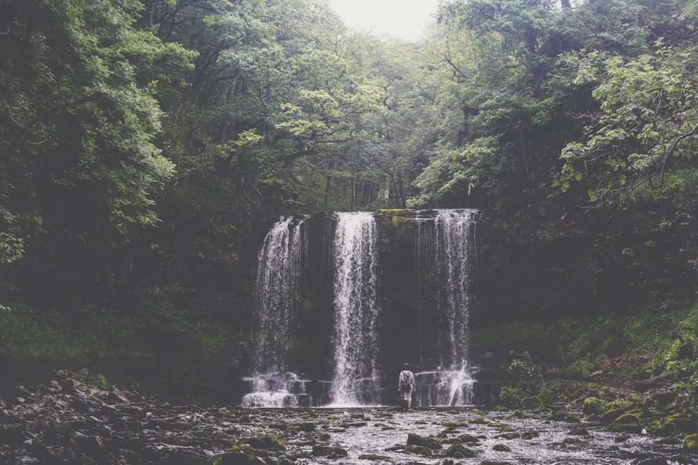 time-lapse photo of waterfalls between trees during daytime