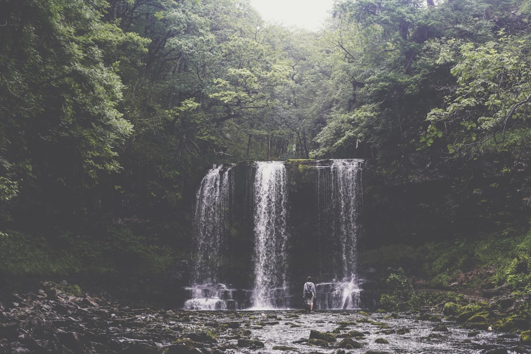 Foodie's Paradise: Savoring the Flavors of Bannau Brycheiniog, Wale… — Foodie's Paradise