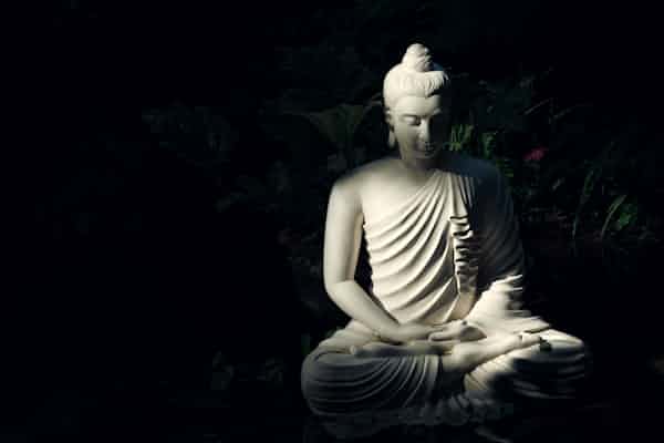 סקירת כנס פסיכודהרמה: תובנות מהתפתחות המפגש בין בודהיזם לפסיכו