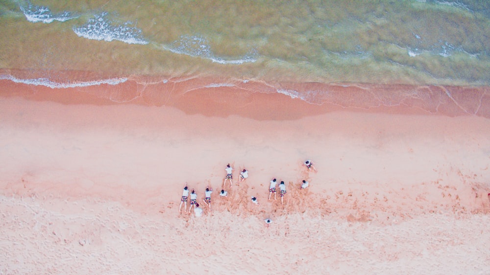 Fotografía aérea de personas tumbadas en la orilla del mar durante el día