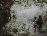 Kids walking along a winding trail lined with ferns and dappled sunlight filtering through leaves.