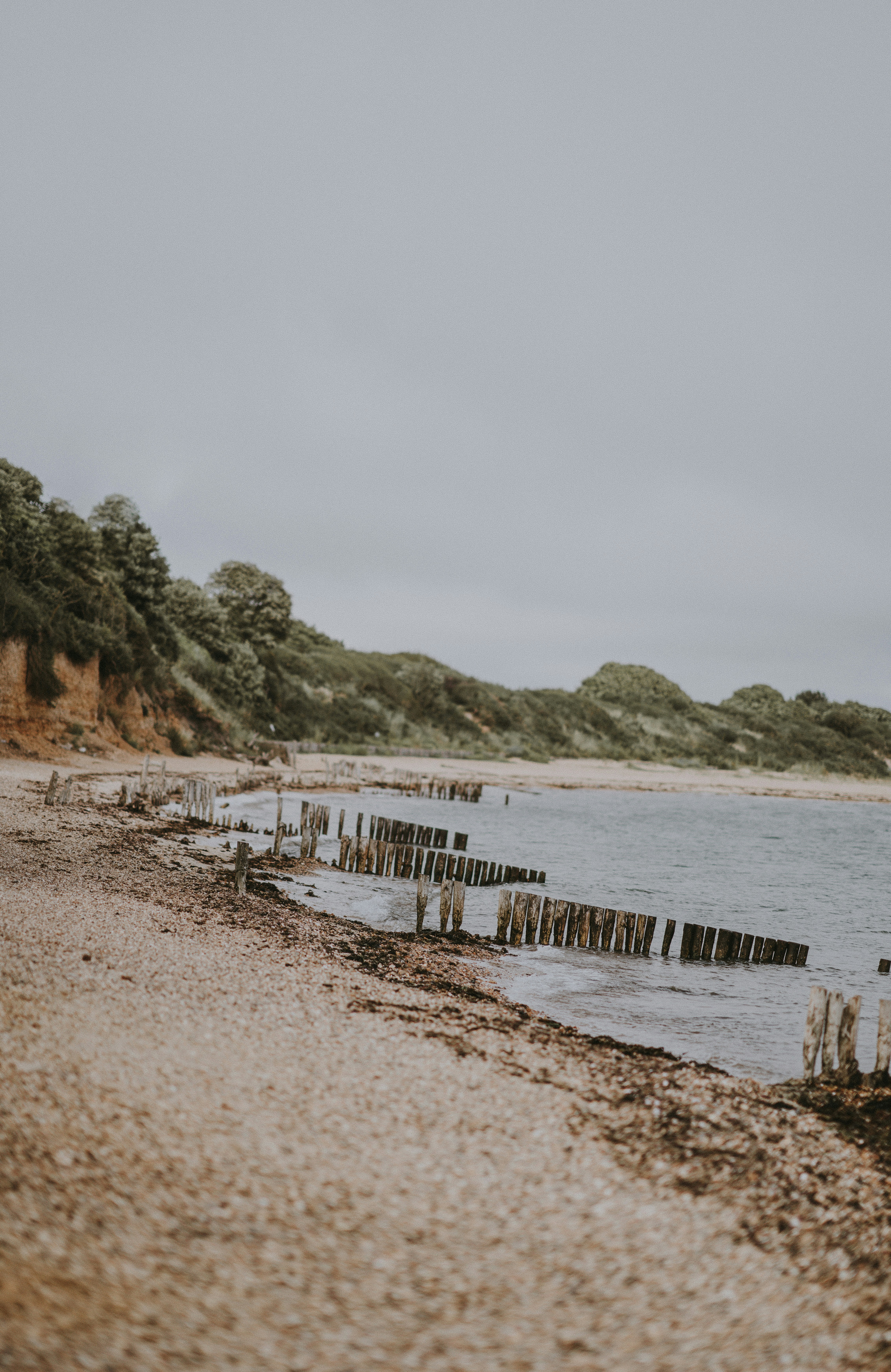 Photo by anniespratt