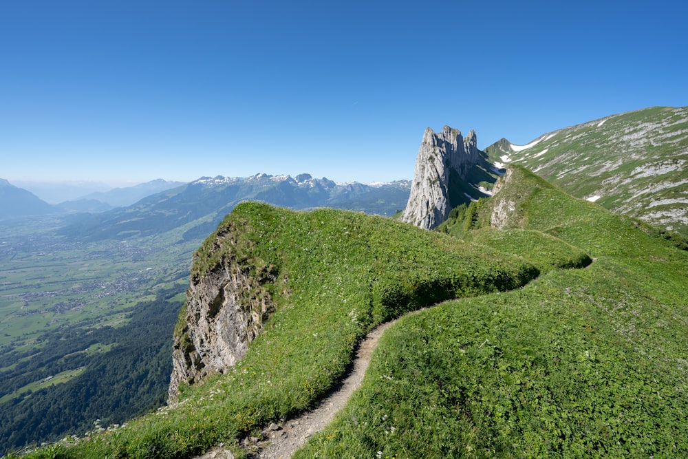 a grassy mountain side with a trail going through it