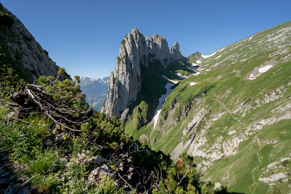 a view of the mountains from a high point of view