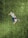A person is performing a dynamic action with a soccer ball on a grassy field, wearing a striped jersey and a cap. The image is captured from above, highlighting the vibrant details of the grass and the focus on the movement.