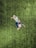 A person is performing a dynamic action with a soccer ball on a grassy field, wearing a striped jersey and a cap. The image is captured from above, highlighting the vibrant details of the grass and the focus on the movement.