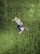 A person is performing a dynamic action with a soccer ball on a grassy field, wearing a striped jersey and a cap. The image is captured from above, highlighting the vibrant details of the grass and the focus on the movement.