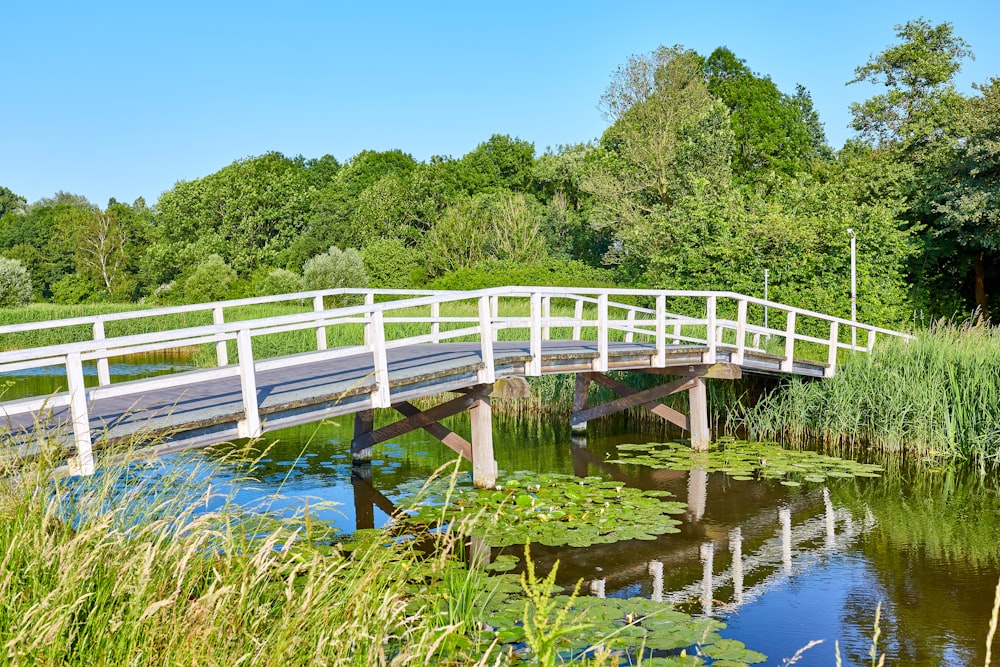 gray and white wooden bridge under blue sky