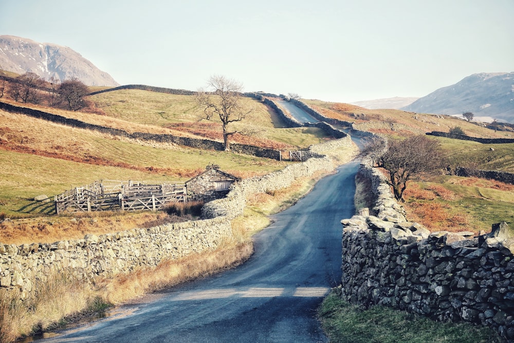 gray asphalt road