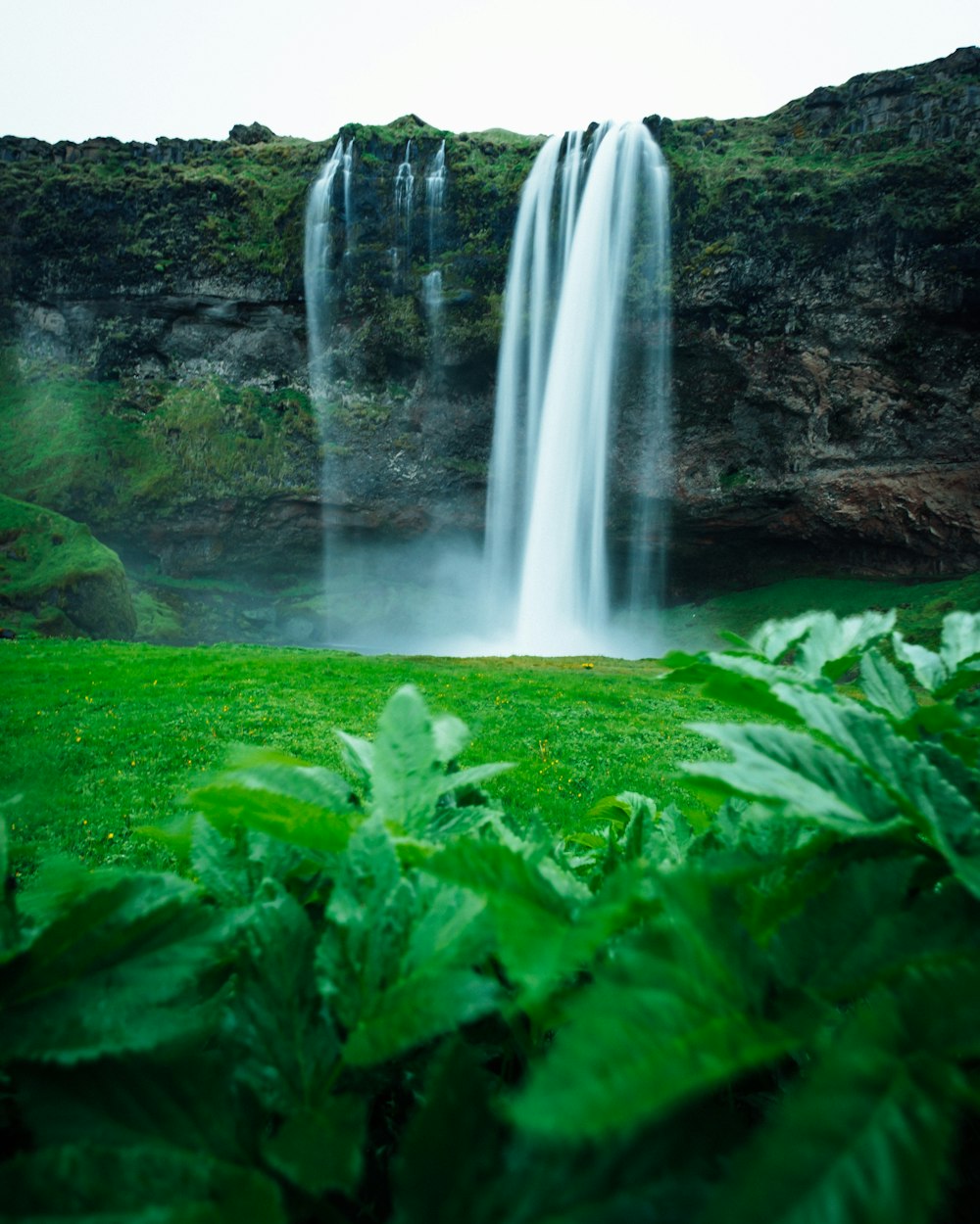 macro shot of waterfalls