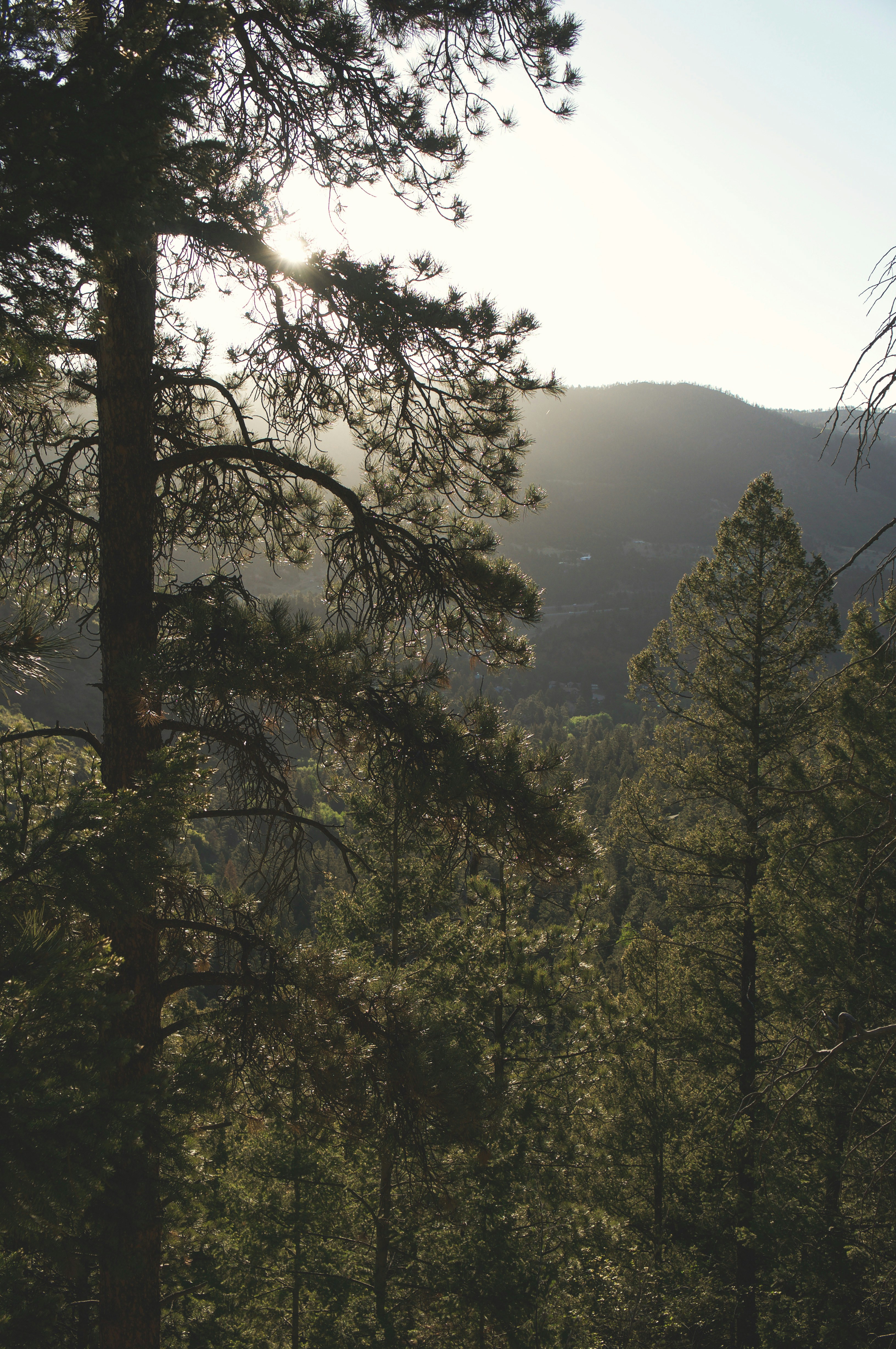 Photo by dwilliamriggs