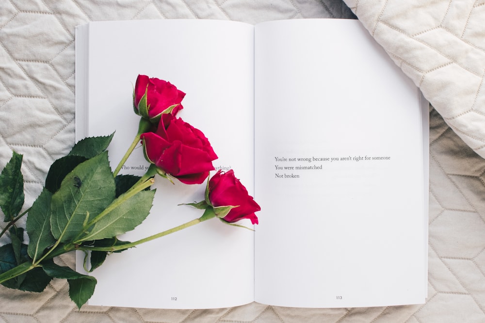 drei rote Rosenblüten auf weißem offenem Buch