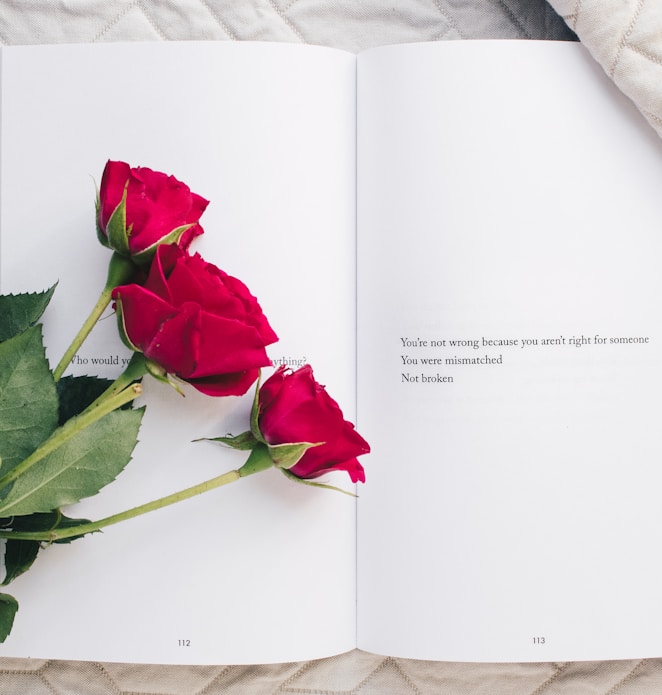 three red rose flowers on white open book