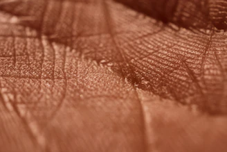 Detailed texture of a PTFE gasket surface under magnification.