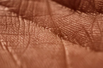 Close-up of an interferometer-based atomic force microscope scanning a nanoscale surface.