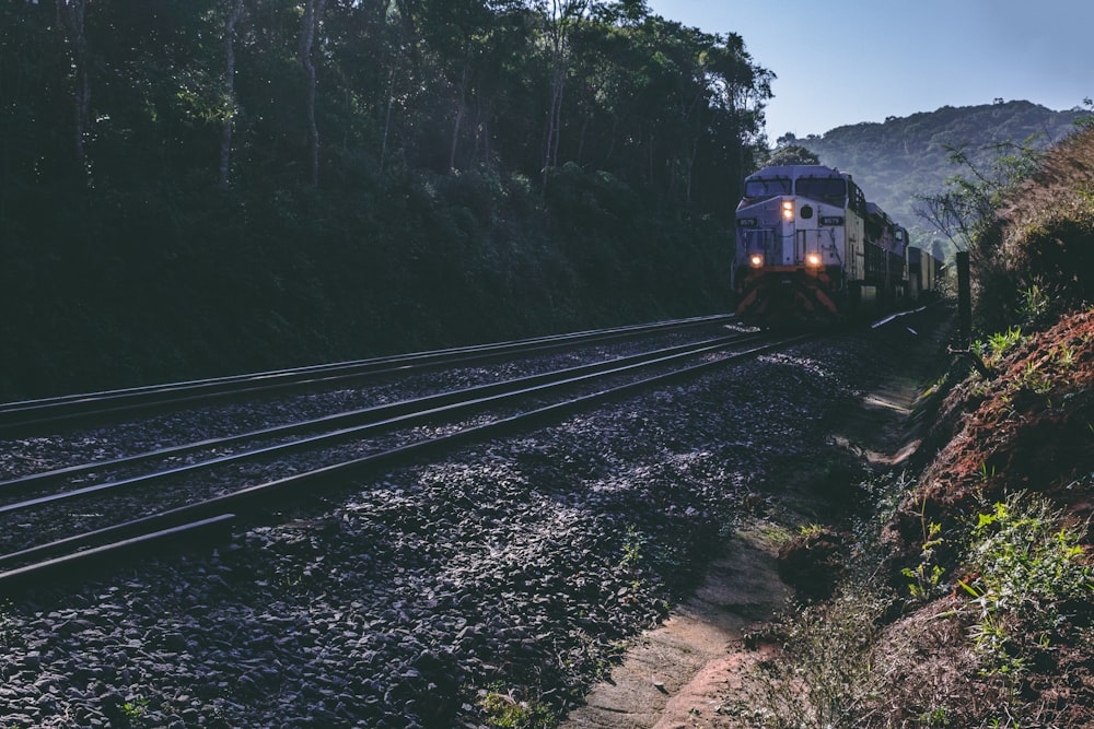 Tren blanco y negro en la vía