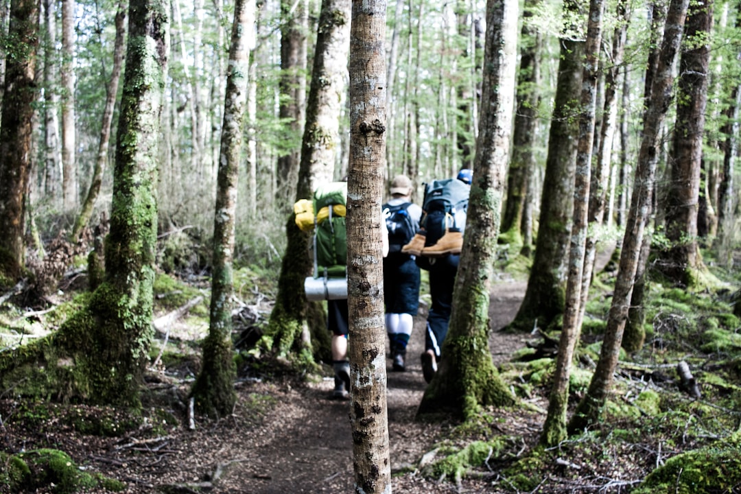 Forest photo spot Kepler Track New Zealand