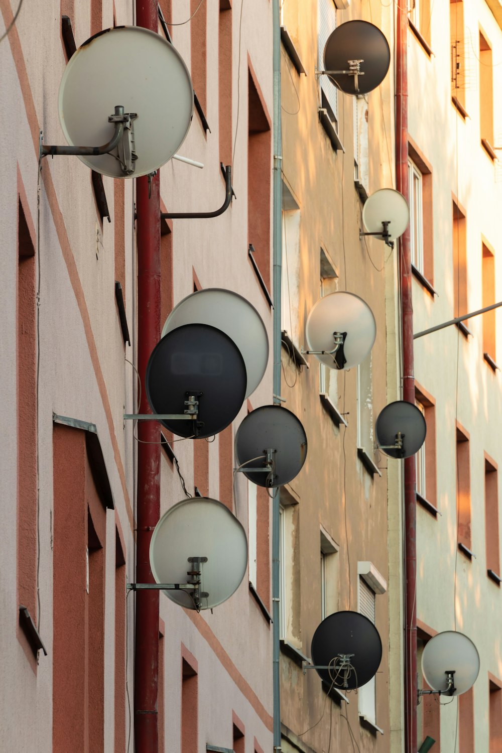 Lote de antenas parabólicas blancas y negras