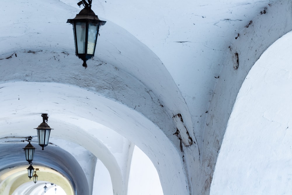 architectural photography of white building