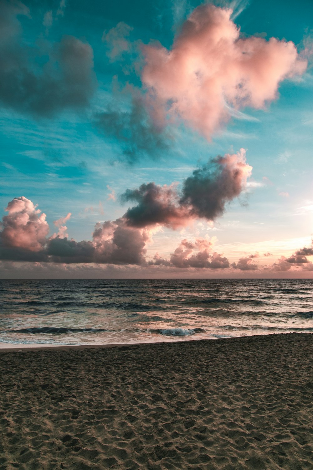 seashore during golden hour