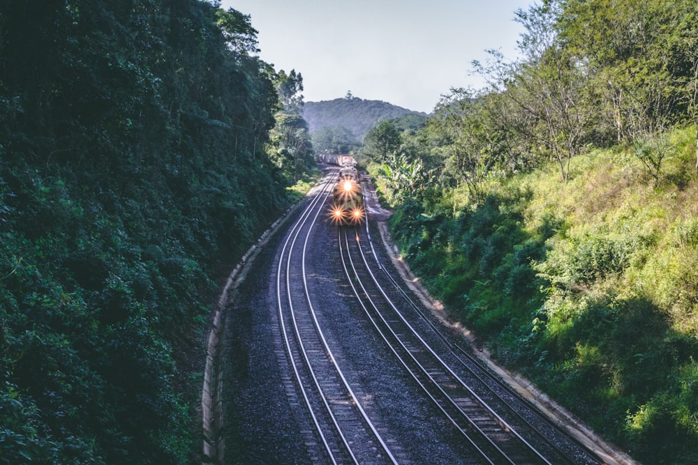 black train moving on the rail with turned-on headlights between green leafed trees at daytime