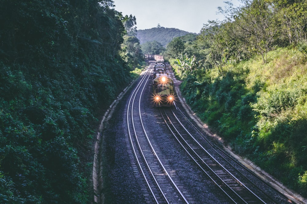 train running on railway between green trees