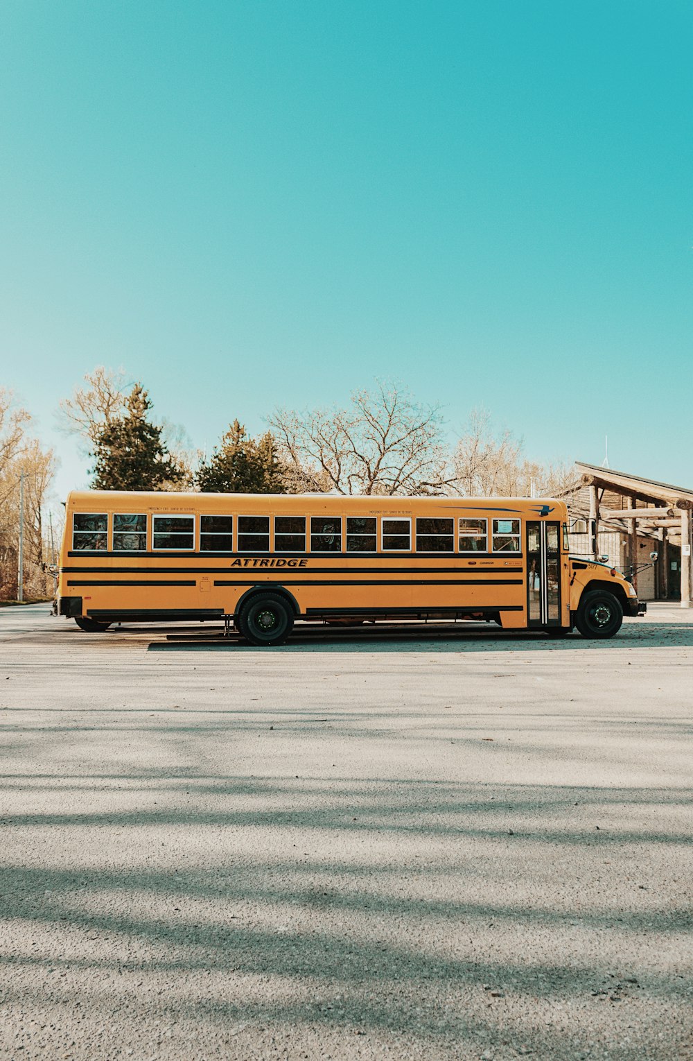 yellow bus on gray road